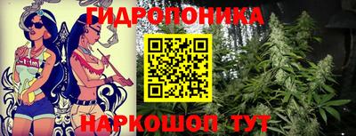 эйфоретик Гай