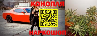 эйфоретик Гай