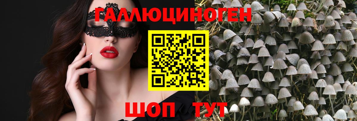 Псилоцибиновые грибы прущие грибы Можга