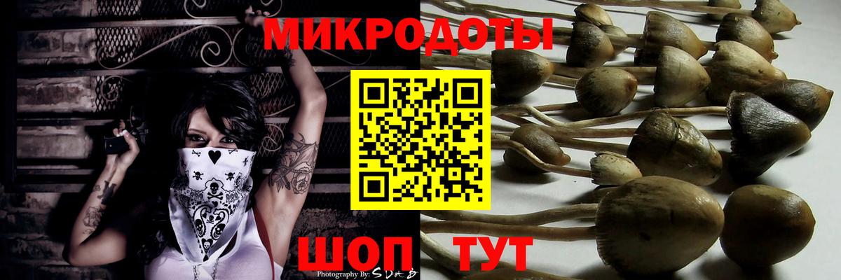 Галлюциногенные грибы Psilocybe  Вход с VPN  Можга 